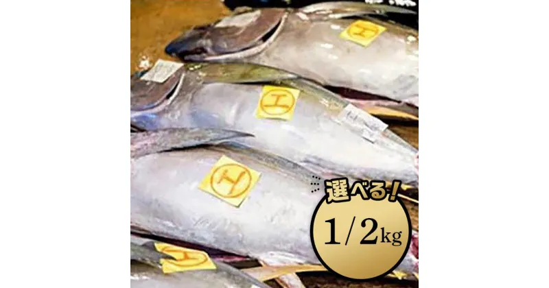 【ふるさと納税】【泊漁港直送】 沖縄美ら海まぐろ「1kg」or「2kg」 | 沖縄 那覇 沖縄県 那覇市 ふるさと 納税 支援 支援品 返礼品 返礼 お礼の品 楽天ふるさと 沖縄土産 沖縄お土産 お土産 おみやげ 取り寄せ お取り寄せ グルメ お取り寄せグルメ