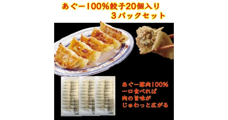 【ふるさと納税】沖縄そばセット&あぐー100％餃子（2パックセット） | 沖縄 那覇 沖縄県 那覇市 ふるさと 納税 支援 支援品 返礼品 返礼 お礼の品 楽天ふるさと 沖縄土産 沖縄お土産 お土産 おみやげ 取り寄せ お取り寄せ グルメ お取り寄せグルメ ご当地 ご当地グルメ