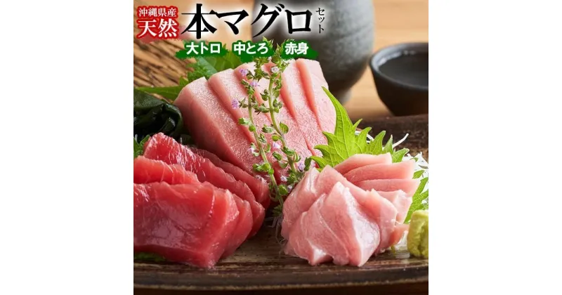 【ふるさと納税】【希少！】沖縄県産 天然本マグロセット 約1kg ( 赤身約400g & 中トロ約300g & 大トロ約300g )｜マグロ 刺身 セット | まぐろ マグロ とろ トロ 天然 魚 お魚 さかな 食品 那覇市 沖縄県 人気 おすすめ 送料無料 緊急支援