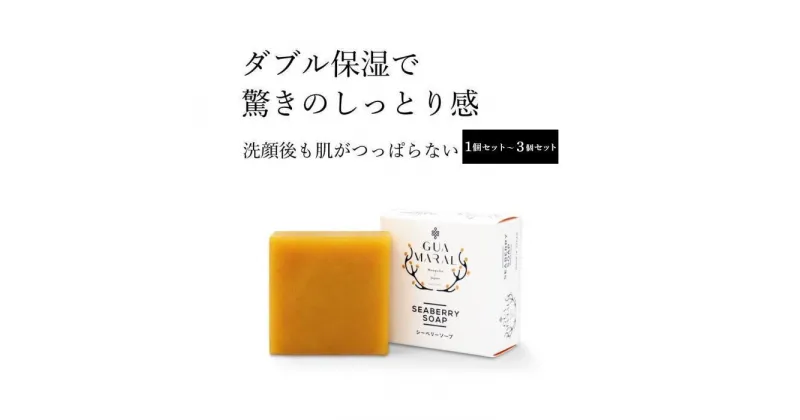 【ふるさと納税】グアマラルシーベリーソープ 100g 「1個」～「3個」セット サジー石鹸