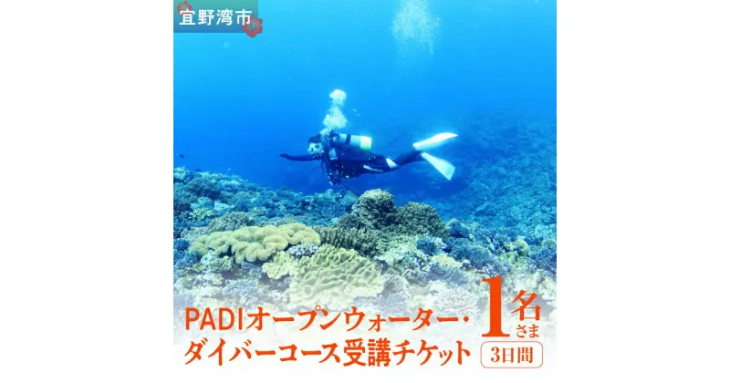 【ふるさと納税】【宜野湾】　PADIオープンウォーター・ダイバーコース受講チケット