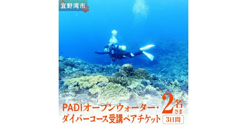 【ふるさと納税】【宜野湾】　PADIオープンウォーター・ダイバーコース受講ペアチケット