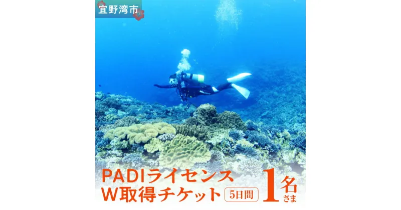 【ふるさと納税】【宜野湾】　PADIライセンスW取得チケット