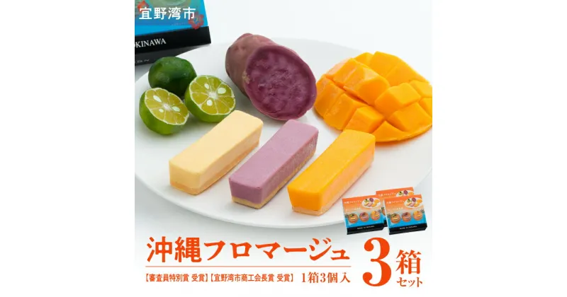 【ふるさと納税】沖縄フロマージュ(3個入)3箱セット【審査員特別賞 受賞】【宜野湾市商工会長賞 受賞】