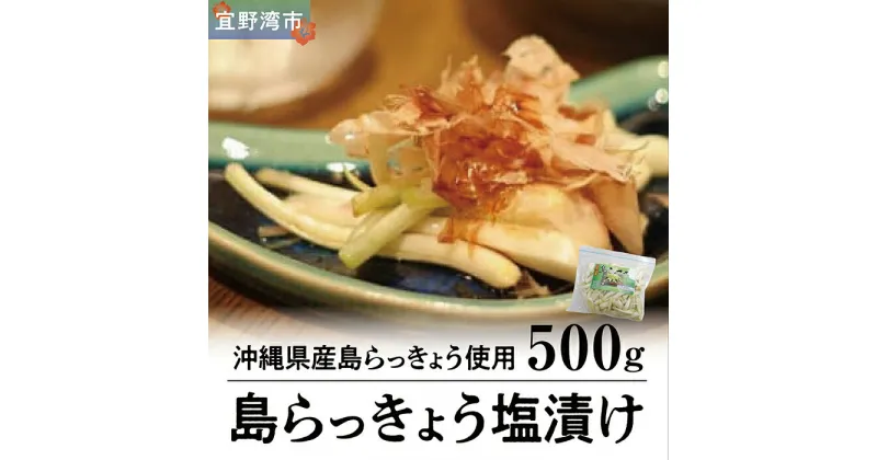 【ふるさと納税】島らっきょう塩漬け500g