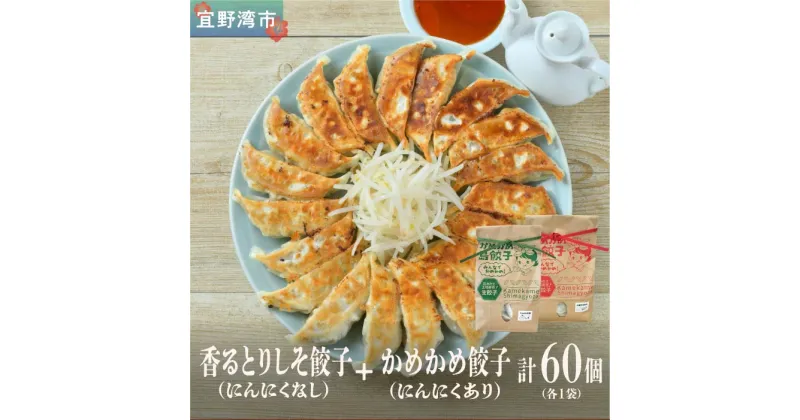 【ふるさと納税】かめかめ島餃子の【人気の売れ筋セット】餃子60個+シークワーサーぽん酢