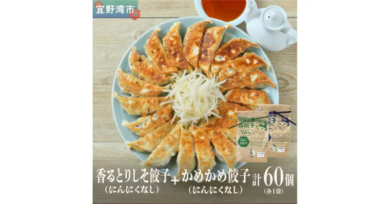 【ふるさと納税】餃子 冷凍 かめかめ島餃子（しそ・にんにくなし）（ 30個 × 2袋 ）