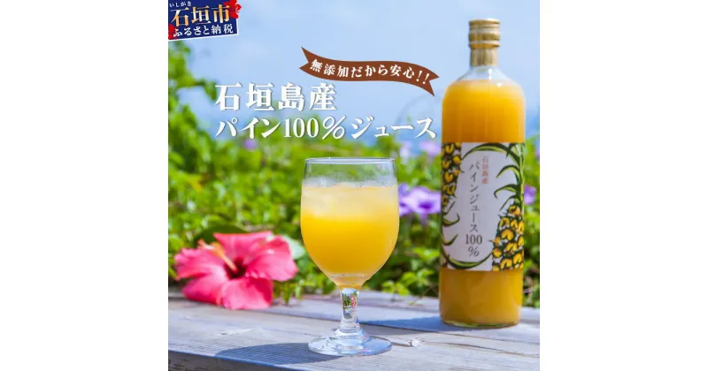 【ふるさと納税】石垣島産パイン100%ジュースセット 果汁100% ストレート パイナップル 飲料類 沖縄県石垣市 贈答用 プレゼント 送料無料