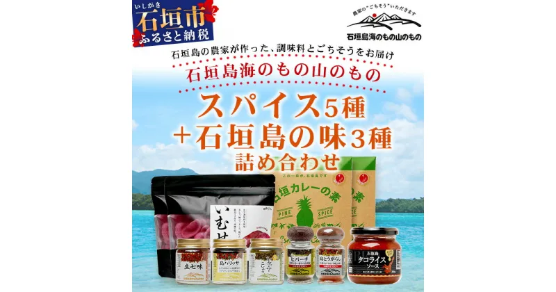 【ふるさと納税】石垣島海のもの山のものスパイス&オリジナル詰め合わせセットB 調味料 揚げせんべい 沖縄県石垣市 常温 送料無料 UY-2