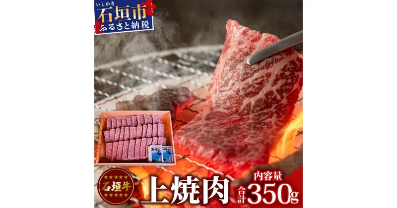 【ふるさと納税】石垣牛上焼肉 TA-3