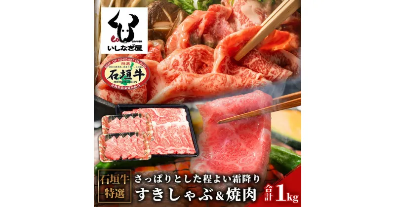 【ふるさと納税】石垣牛すきしゃぶ＋焼肉セット 合計1kg AB-8