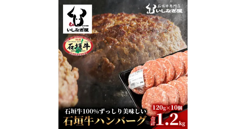 【ふるさと納税】 高級 黒毛和牛 石垣牛 ハンバーグ 120g × 10個 1.2kg | ふるさと納税 ハンバーグ 和牛 黒毛和牛 石垣牛 無添加 国産 牛肉 ブランド牛 冷凍 個包装 ふるさと 沖縄県 沖縄 石垣 石垣島 石垣市 人気 送料無料 AB-13-2