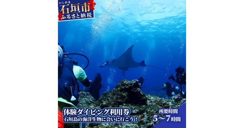 【ふるさと納税】石垣島 マンタやウミガメに会える 1日体験ダイビング利用券 寄付額 60,000円 10歳～ 所要時間5～7時間 | ふるさと納税 利用券 ダイビング ふるさと 旅行 観光 体験 チケット クーポン 沖縄県 沖縄 石垣 石垣島 石垣市 人気 送料無料 YD-2