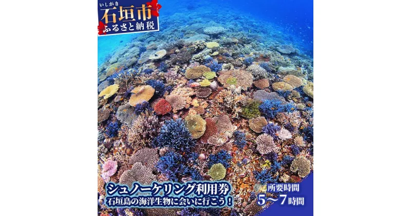 【ふるさと納税】1日シュノーケリング体験券～石垣島の綺麗な海でマンタやウミガメに会える～ 1名様分 インストラクター指導付 初心者歓迎 所要時間5～7時間 チケット アクティビティ 旅行 沖縄県石垣市 送料無料 YD-3