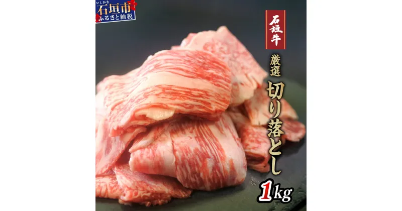 【ふるさと納税】高級 黒毛和牛 石垣牛 厳選 切り落とし 1kg | ふるさと納税 和牛 黒毛和牛 石垣牛 無添加 国産 牛肉 ブランド牛 冷凍 個包装 ふるさと 沖縄県 沖縄 石垣 石垣島 石垣市 人気 送料無料 I-14