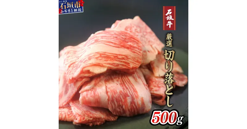 【ふるさと納税】高級 黒毛和牛 石垣牛 厳選 切り落とし 500g | ふるさと納税 和牛 黒毛和牛 石垣牛 無添加 国産 牛肉 ブランド牛 冷凍 個包装 ふるさと 沖縄県 沖縄 石垣 石垣島 石垣市 人気 送料無料 I-13