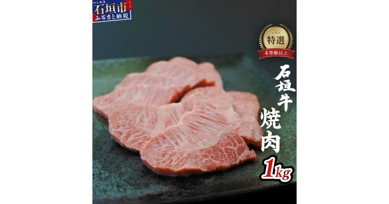 【ふるさと納税】高級 黒毛和牛 石垣牛 特選 焼肉 1kg おまかせ 厳選仕入れ ｜ ふるさと納税 和牛 黒毛和牛 石垣牛 国産 牛肉 ブランド牛 焼き肉 冷凍 産地直送 沖縄県 石垣市 人気 送料無料 I-10