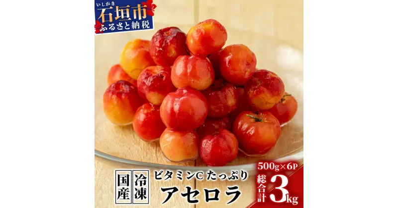 【ふるさと納税】希少な国産アセロラ果実 冷凍 500g×6パック 3kg 沖縄県石垣市 南国フルーツ 送料無料 ZH-20