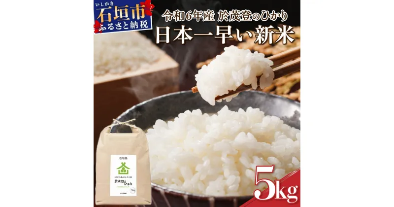 【ふるさと納税】【令和6年産新米！】石垣島産 於茂登(おもと)のひかり 5kg みやぎ米屋【 日本一早い新米の産地 お米 米 こめ コメ 産地直送 旬 しきゆたか 沖縄県 石垣市 送料無料 】MK-1