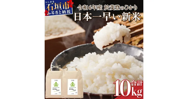 【ふるさと納税】【令和6年産新米！】石垣島産 於茂登(おもと)のひかり 10kg みやぎ米屋【 日本一早い新米の産地 お米 こめ コメ 産地直送 旬 しきゆたか 沖縄県 石垣市 送料無料 】MK-2