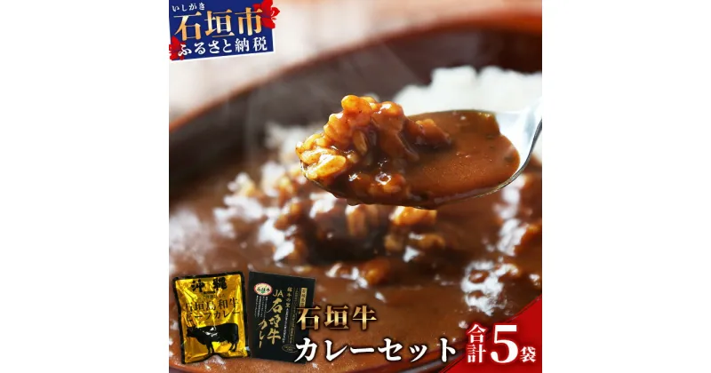 【ふるさと納税】【ご当地ビーフカレー食べ比べセット】JA石垣牛カレー200g×2箱＆石垣島和牛ビーフカレー 160g×3袋【合計880g】お土産にも大人気のご当地カレー【レトルトで簡単・便利】KB-5