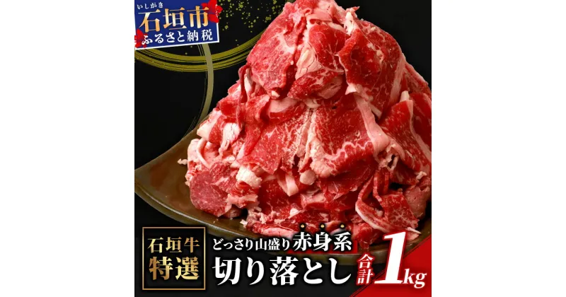 【ふるさと納税】石垣牛・赤身系切り落とし　どっさり山盛り1kg入り 冷凍 牛肉 沖縄県石垣市 送料無料 SI-17