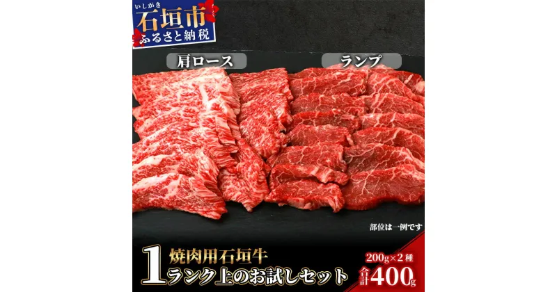 【ふるさと納税】高級 黒毛和牛 石垣牛 焼肉 お試し セット 希少部位 2種 各200g 計400g ｜ ふるさと納税 焼き肉 和牛 黒毛和牛 石垣牛 国産 牛肉 ブランド牛 冷凍 産地直送 沖縄県 石垣市 人気 送料無料 SI-20-1