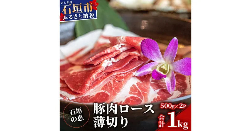 【ふるさと納税】【産地直送】石垣の恵 アグー豚 豚肉ロース薄切り 500g×2パック【合計1kg】KB-33