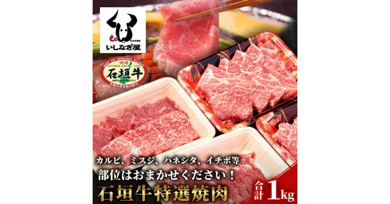 【ふるさと納税】高級 黒毛和牛 石垣牛 特選 焼肉 セット 部位 おまかせ 計1kg ｜ ふるさと納税 和牛 黒毛和牛 石垣牛 国産 牛肉 ブランド牛 焼き肉 冷凍 産地直送 沖縄県 石垣市 人気 送料無料 AB-17