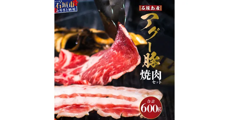 【ふるさと納税】石垣島産アグー豚 焼肉セット 計600g（ロース200g＋肩ロース200g＋バラ200g） 冷凍 国産豚 豚肉 沖縄県石垣市 南ぬ豚(パイヌブタ) 肉 家庭用 BBQ 2人前 送料無料 E-23