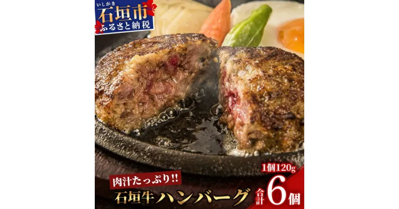 【ふるさと納税】石垣牛ハンバーグ 6個セット 沖縄県石垣市 送料無料 石垣牛 ハンバーグ E-27