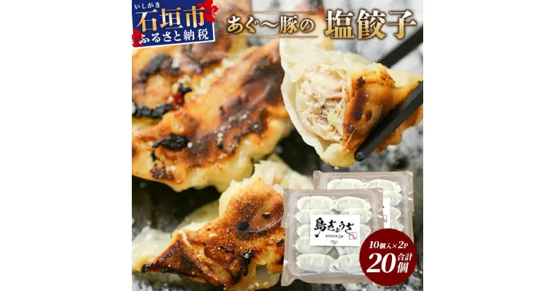 【ふるさと納税】あぐー豚 ぎょうざ 20個【ブランド豚 アグー豚 使用】 ぎょうざ 餃子 焼き餃子 水餃子 焼餃子 惣菜 おかず GS-3