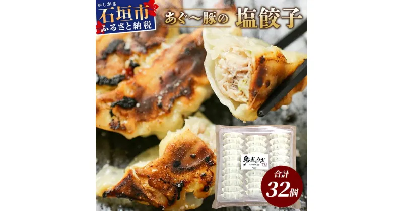 【ふるさと納税】あぐー豚 ぎょうざ 32個【ブランド豚 アグー豚 使用】 ぎょうざ 餃子 焼き餃子 水餃子 焼餃子 惣菜 おかず GS-4