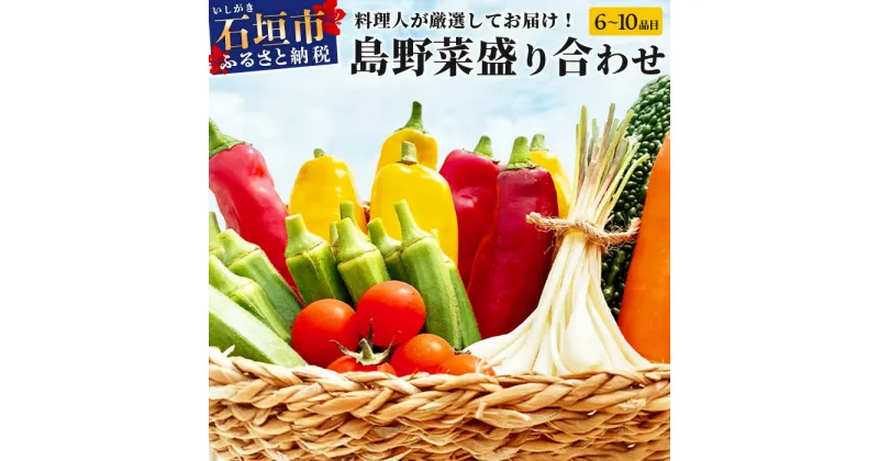 【ふるさと納税】料理人が厳選した島野菜盛り合わせ (6～10品目) 野菜詰合せセット やさい セット 詰め合わせ 冷蔵対応 TM-7