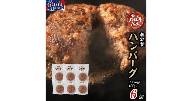 【ふるさと納税】 高級 黒毛和牛 石垣牛 100% 自家製 ハンバーグ 100g × 6個 600g | ふるさと納税 ハンバーグ 和牛 黒毛和牛 石垣牛 無添加 国産 牛肉 ブランド牛 冷凍 個包装 ふるさと 沖縄県 沖縄 石垣 石垣島 石垣市 人気 送料無料 I-21