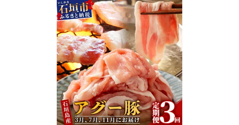 【ふるさと納税】 【定期便】 豚肉 セット 石垣島産 アグー豚 南ぬ豚 食べ比べ 3回 計2.7kg 切り落とし 1.5kg 焼肉 600g しゃぶしゃぶ 600g ふるさと納税 豚肉 国産 ブランド豚 冷凍 沖縄県 石垣市 人気 送料無料 E-30