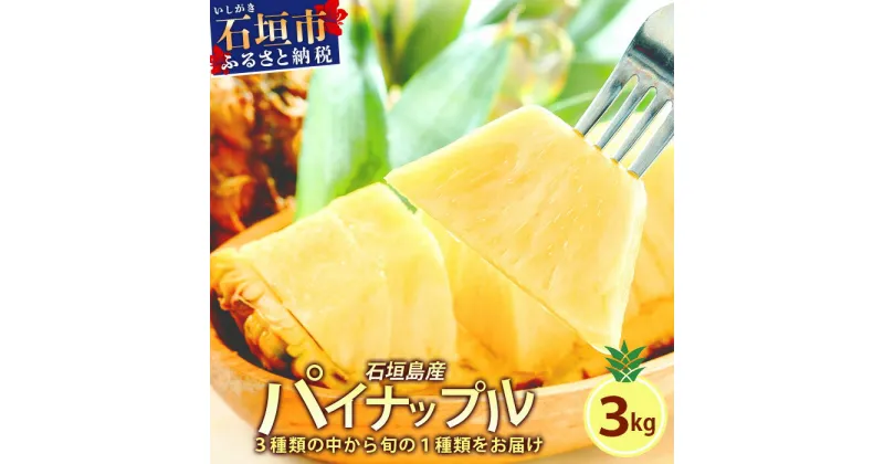 【ふるさと納税】【先行予約】 石垣島産 パイナップル 約3kg 2～6個 《2025年5月から順次発送いたします》 | ふるさと納税 パイナップル パイン フルーツ 果物 果実 南国フルーツ 沖縄県石垣市 沖縄県 石垣市 石垣島 産地直送 ふるさと 人気 送料無料 KP-14