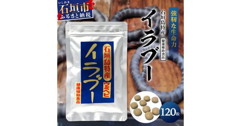 【ふるさと納税】石垣島産 「イラブー(海ヘビ)」粉末 120粒入り袋 健康補助食品・1ヶ月分 サプリメント 錠 サプリ 健康 栄養 栄養価 ふるさと 沖縄県 沖縄 石垣 石垣島 石垣市 人気 送料無料 SI-35