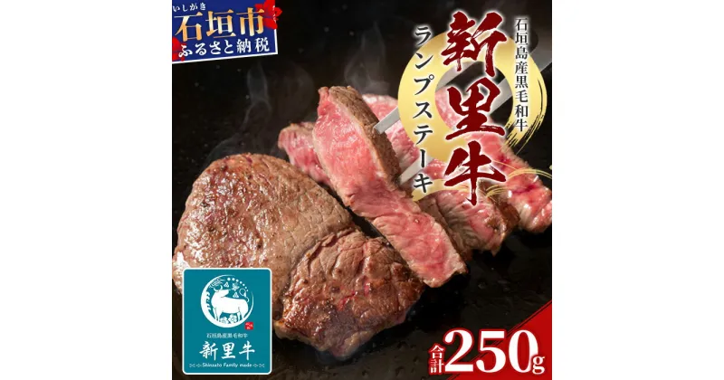 【ふるさと納税】石垣島産 黒毛和牛 新里牛 ランプステーキ (250g×1) 250g SZ-9