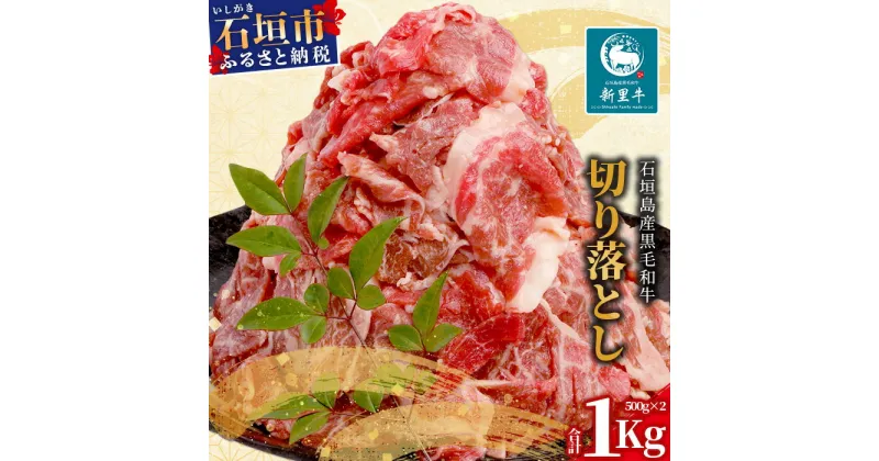 【ふるさと納税】石垣島産 黒毛和牛 新里牛 多用途抜群！ 切落し (500g×2) 合計1kg SZ-12