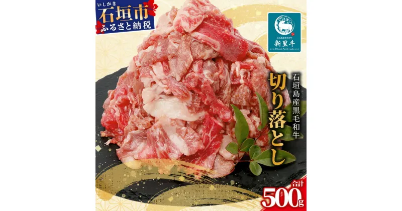 【ふるさと納税】石垣島産 黒毛和牛 新里牛 多用途抜群！ 切落し (500g×1) 500g SZ-13