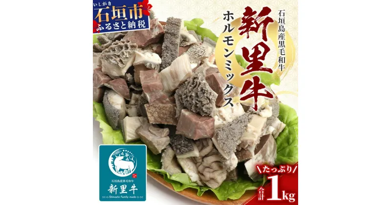 【ふるさと納税】石垣島産 黒毛和牛 新里牛 ホルモンミックス(500g×2) 合計1kg SZ-23