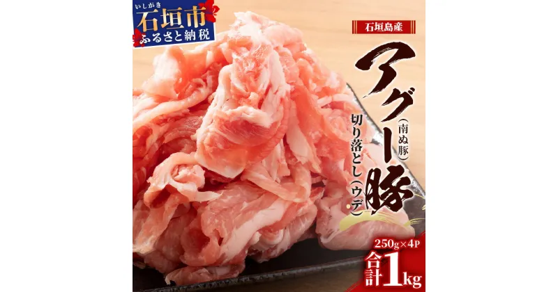 【ふるさと納税】 1kg 自家用 沖縄県石垣市 送料無料 南ぬ豚 アグー豚 切り落とし 豚肉 肉 ウデ 石垣 石垣島 沖縄 八重山 小分け　E-37