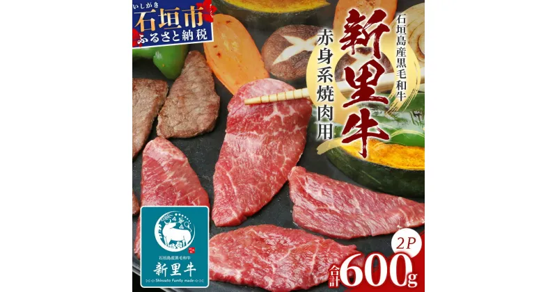 【ふるさと納税】石垣島産 黒毛和牛 新里牛 赤身系焼き肉用 (300g×2) 合計600g（ウデ・ウチモモ・トウガラシから2つ）SZ-21