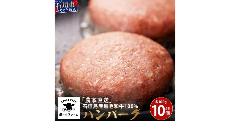 【ふるさと納税】「農家直送」石垣島黒毛和牛100％ハンバーグ 100g×10個 | 沖縄県 石垣 直送 黒毛 和牛 ハンバーグ BO-1