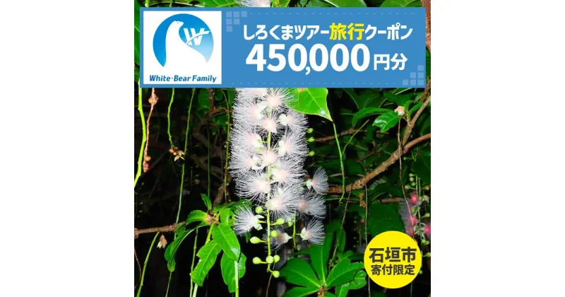 【ふるさと納税】【石垣市】しろくまツアーで利用可能なWEB旅行クーポン(45万円分） | 旅行 チケット 紙券 宿泊 宿泊券 宿 観光 クーポン ホテル 飛行機 交通費 観光施設 体験 トラベルクーポン 沖縄県 石垣市 石垣島 送料無料 人気 WB-13