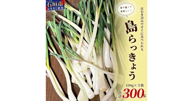 【ふるさと納税】【11月～6月発送】島らっきょう（皮むき済み）300g（100g×3袋入り）【 沖縄県 石垣市 石垣 産地直送 島らっきょ 島らっきょう らっきょう 皮むき 皮むき済】KA-1