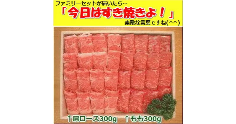 【ふるさと納税】石垣牛・すき焼きファミリーセット300g×2種・計600g もも+肩ロース 冷凍便 ｜ 沖縄県 石垣市 牛肉 お肉 すきやき 牛ロース 送料無料 SI-85