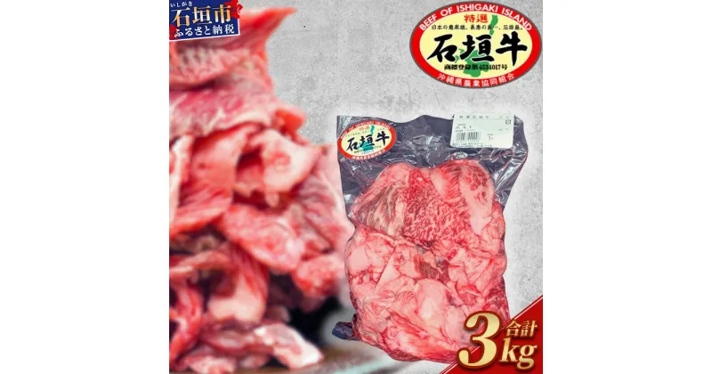 【ふるさと納税】石垣牛・牛すじ 3kg （1kg×3） 冷凍便 ｜ 沖縄県 石垣市 牛肉 お肉 牛スジ 牛筋 煮込み おでん カレー 送料無料 SI-86