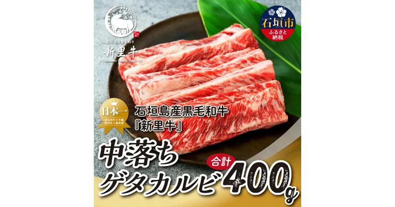 【ふるさと納税】石垣島産 黒毛和牛 新里牛 中落ちゲタカルビ（200g×2）焼肉 バーベキュー SZ-26